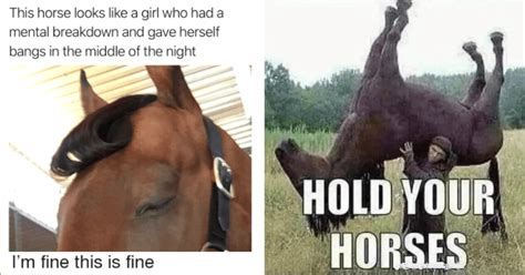 The Horse Video .